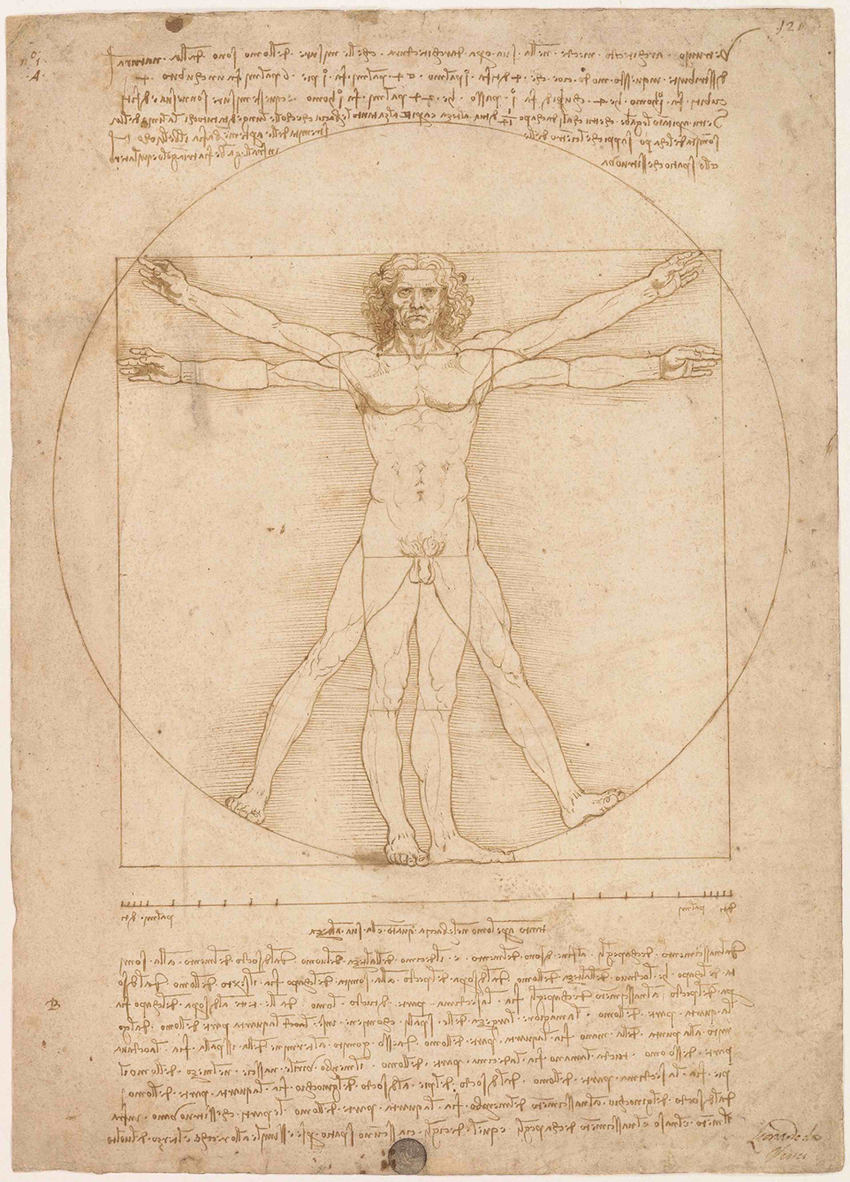 /images/5f945c2a19767b03185f97d9-Leonardo_da_Vinci_-_Uomo_vitruviano.jpg